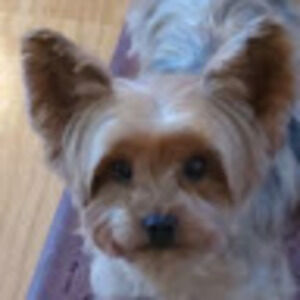 Meet your Posher, Emerson